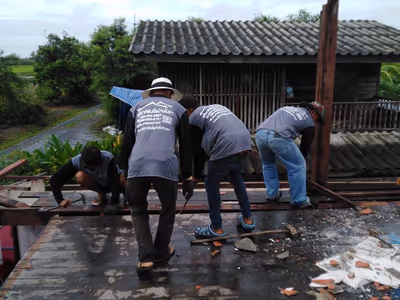 ภาพแกลลอรี่ 6