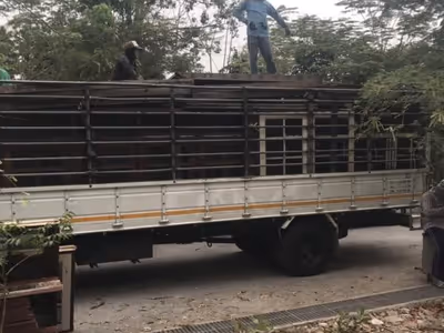 ภาพแกลลอรี่ 4