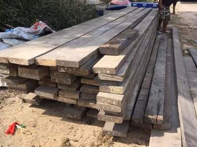 ภาพแกลลอรี่ 34