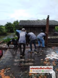 ภาพแกลลอรี่ 24